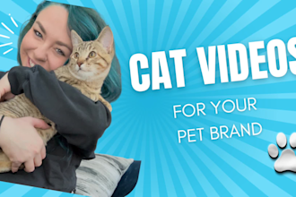 create eyecatching cat ugc videos for your pet product