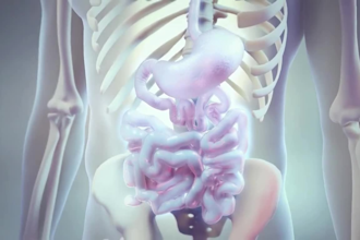 do 3d medical animation 3d dental animation anatomy scientific animation video