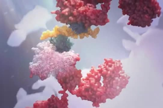 do 3d medical animation, 3d medical video, anatomy animation, surgery animation