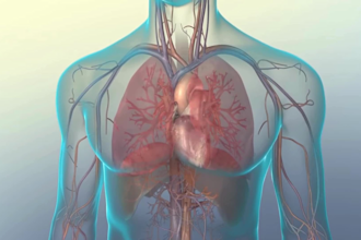 3d medical animation 3d heart anatomy illustration 3d surgery dental explainer