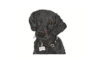 do professional pet embroidery digitizing