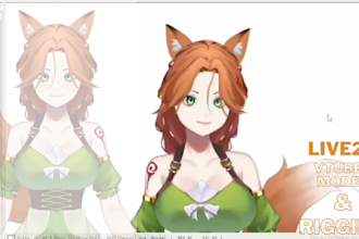 design and rig pro live 2d model,2d vtuber design,live2d rigging  vtube studio