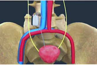 create 3d medical animation 3d medical explainer video moa 3d anatomy animation