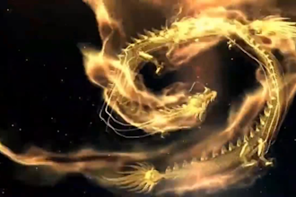 create a 3d dragon logo design and intro animation