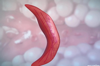 create 3d medical animation video, sickle cell and disease explainer video