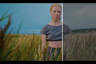 do professional video color grading color correction and editing