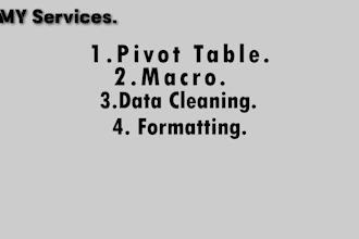 do formatting macro pivot table and data cleaning