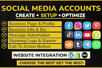 set up perfectly all social media accounts professionally for your business