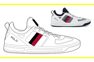 draw a detail vector line art illustrations in 5 hours