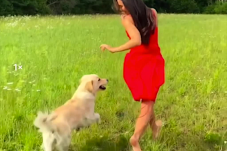 shoot video or photo with dog model and female model