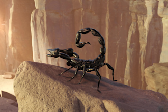 create custom 3d animated music videos, spotify canvas