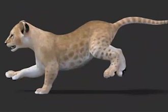 do 3d animal model, 3d character model, realistic fur, xgen hair, 3d printing