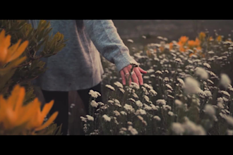make cinematic storytelling video