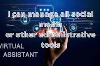 be your personal administrative virtual assistant VA and excel data entry expert