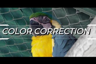 professionally edit videos for youtube and social media