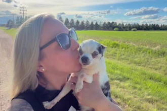 create engaging pet ugc videos featuring my senior dogs