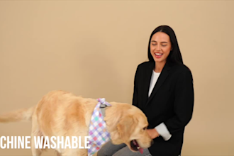shoot video or photo with dog model and female model