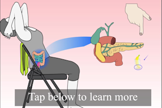 create vector line art video animation or ad videos