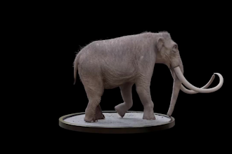 create realistic 3d creature models, animal animation cgi vfx compositing