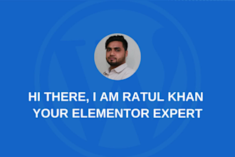 be your elementor expert and wordpress website developer