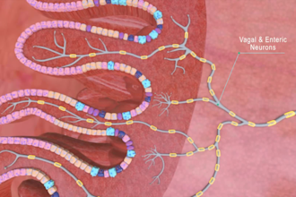 do 3d medical animation molecular moa pharma biotech scientific explainer video