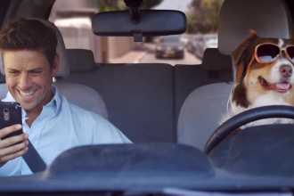 create this funny driving dog video ad for your business