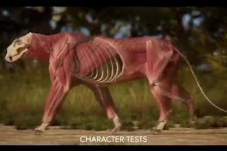 create realistic 3d animal animation 3d animal model fur xgen rigging cgi vfx
