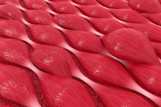 create a great 3d medical animation video