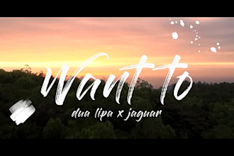 make really cool lyrics video for your song