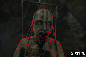 do vfx rotoscope, wire or object removal and green screen removal work