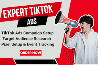 expert tiktok ads campaign setup and management, tiktok pixel setup