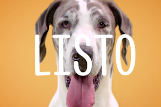 turn over an artistic voice over in a latam spanish
