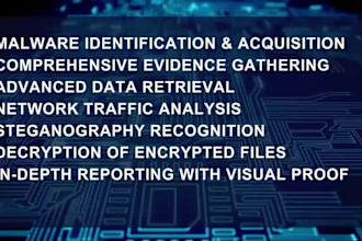 do digital forensics, and reverse engineering tasks