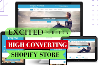 create shopify dropshipping store or shopify website