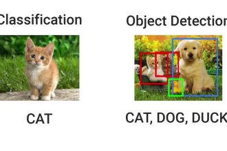 do image classification, face recognition, object detection