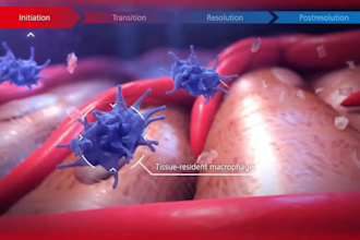 do custom 3d medical animation, medical 3d animation video anatomy explainers