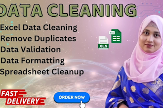 clean, merge, and format large excel or google sheets data