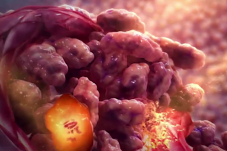 create professional 3d medical animation pharmacology moa cancer therapy video