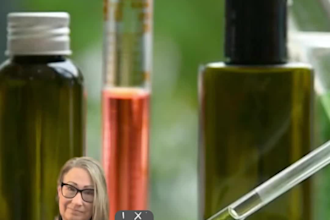 create videos content for your service with green screen removal or replacement