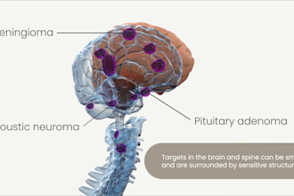 create 3d medical animation brain anatomy animation spinal cord animation