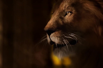 do realistic 3d animal animation, cgi animal model, 3d rigging, vfx composite