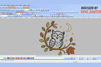 digitize image for embroidery and applique digitizing in hours