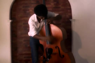 record professional quality double bass or upright bass