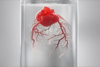 create custom 3d medical animation, medical explainer