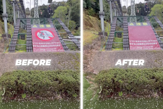 professionally remove unwanted objects