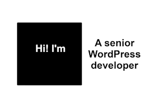 be your wordpress expert developer for your wp store website using elementor pro