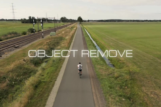 remove object, change backgroung, object edit or any edit in video