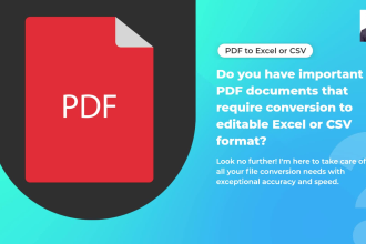 effortlessly convert PDF to excel, CSV, and google sheets with expert data entry