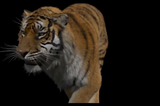 integrate realistic 3d animal animation, 3d anima model with fur and rigging cgi