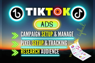 setup and manage tiktok ads campaign, tiktok ads, tik tok advertising